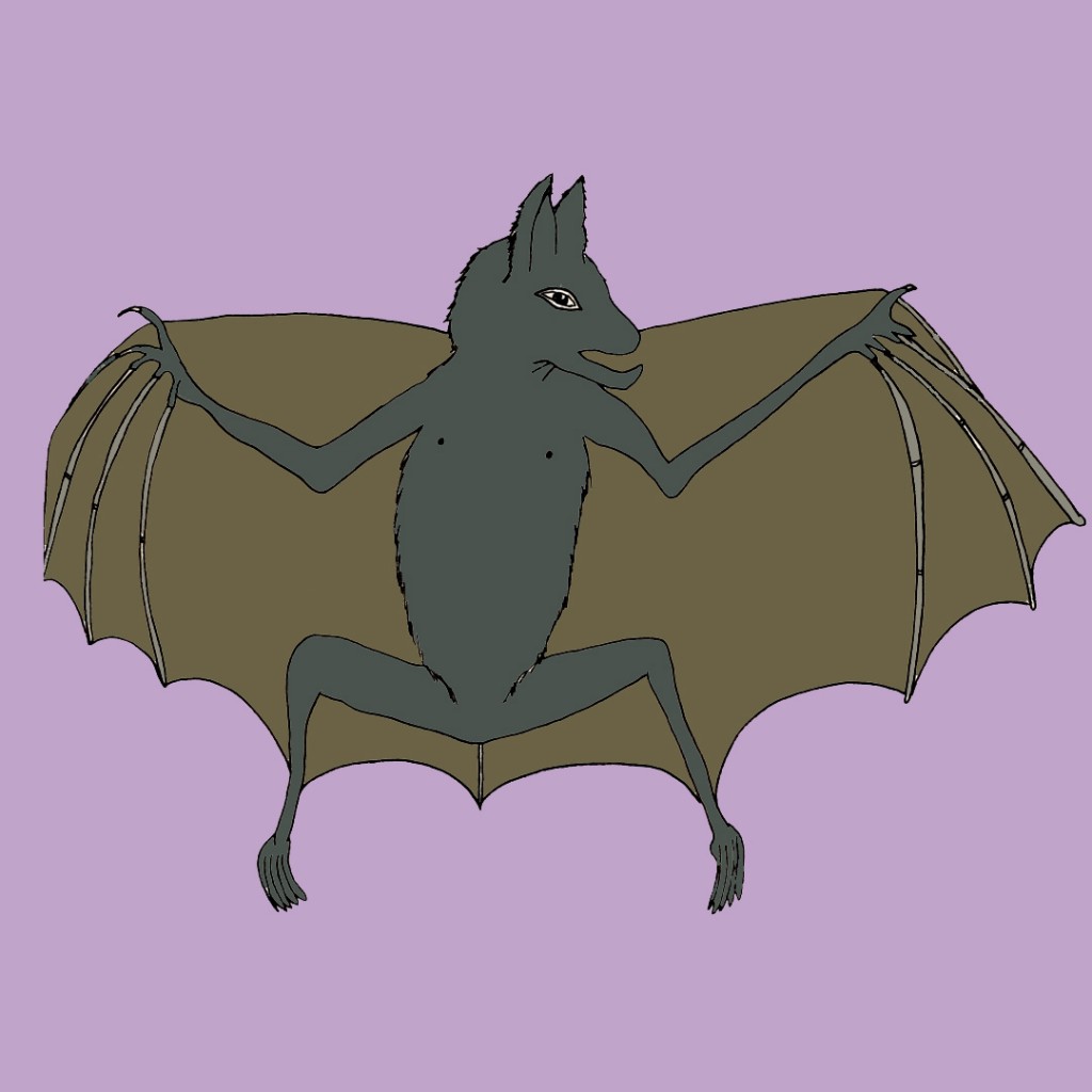 Chauve souris mauve