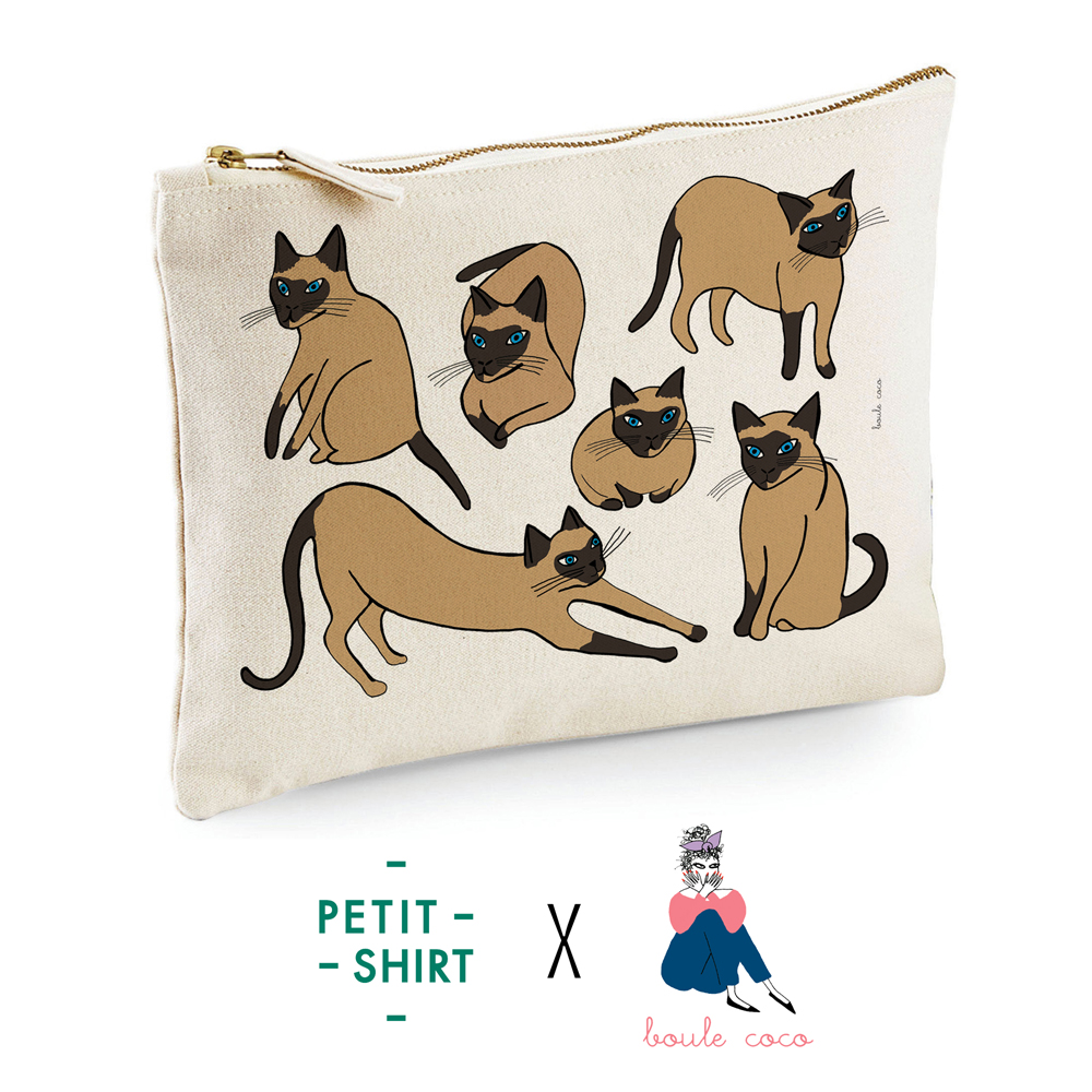 01.Photo pochette Cat Lady Boule Coco X Petit Shirt COULEURS